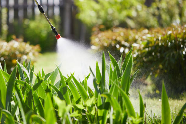 24/7 Emergency Fumigation Services experts in Sidney, OH