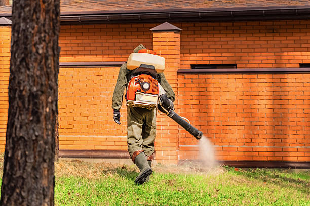 Top rated local Fumigation Services specialists in Sidney, OH